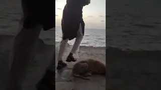 Bharat Beach | Hidden Gems of Mumbai | Colaba | #shorts #shortvideo