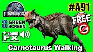 Carnotaurus Walking Green Screen 3D