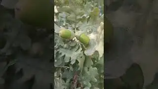 #винодельнианапа Усадьба Семигорье - где душа отдыхает и раскрывается.
