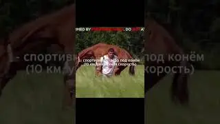 🔥Начни с простого