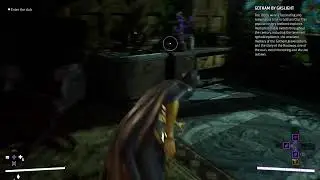 Gotham Knights: Batlady