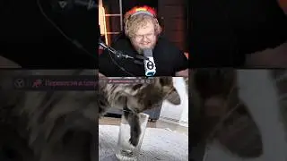 🔥😾 ТОХА И ГЛУПАЯ КОШКА | T2x2