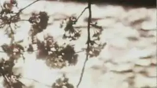 Сшей мне белое платье, мама