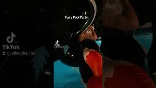 Furry Pool Party 
