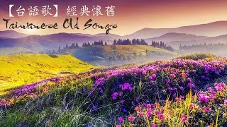 【台語歌】經典懷舊 |台語難忘金曲| 值得分享 好歌聽出好心情 Taiwanese Old Songs- Relaxing Taiwanese Old Songs