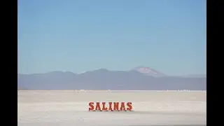 Litio en Argentina