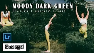 Moody Dark Green Preset | Lightroom mobile preset DNG | Moody Dark Green Preset | සිංහලෙන් 🇱🇰