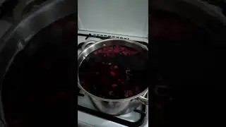 Жизнь в деревне.Варим малиновый компот!Что вкуснее?может Кока-Кола?