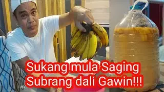 SUKA MULA SA SAGING LAKATAN | GAWIN ETO SA BAHAY