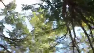 Spinny Thingy at the Park #2