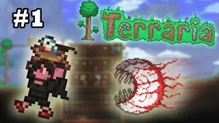 Finch defeats the Eye of Cthulhu — Master Summoner Playthrough #1 — Terraria 1.4