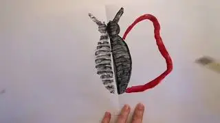 Activitate Artistico plastică Formă spontană prin îndoire și presare