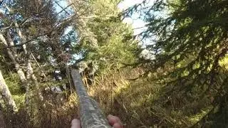 Охота на рябчика с манком. Ружьё ИР- 111.  Осень.