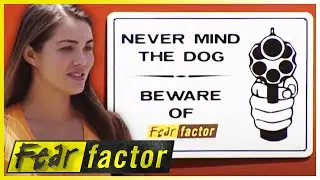 Dog ATTACK & Gas CHAMBER 🐕| Fear Factor US | S03 E08 | Full Episodes | Thrill Zone