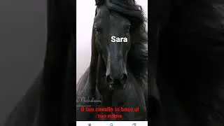 il tuo cavallo in base al tuo nome