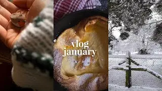 Studio Vlog 45 | Craft w/me Clay Animals, Dutch Baby Pancake, Snowy Days
