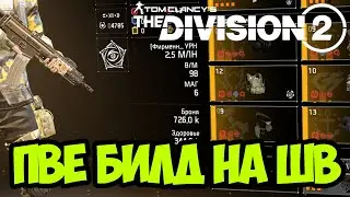 ОТЛИЧНЫЙ ПВЕ БИЛД НА ШТУРМОВУЮ ВИНТОВКУ [ The Division 2 ]