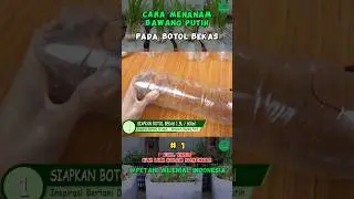Sangat Mudah Menanam Bawang Pada Media Botol Bekas #petanimilenial #bercocoktanam #inspirasiberkebun
