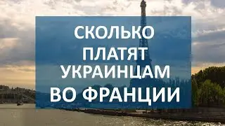 Сколько платят украинским беженцам во Франции. Пособия, жилье и работа для украинцев