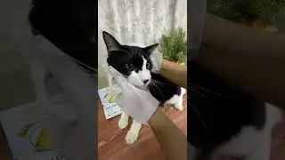 Unboxing || pet glow wipes