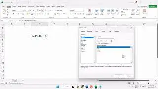 Remove scientific notation from large number in Excel