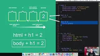 CSS Specificity