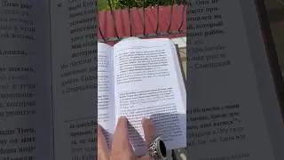Чтение: важно не только что, но и где 🤎
