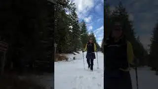 I Can't Go Hiking By Myself in the Winter #winter #hiking