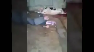 Гов куши. ГОВ одама кушт