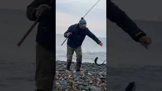 Ловим в море 2024. Май #fishing #рыбалка #голец #кижуч #fish #salmon #горбуша #кунджа