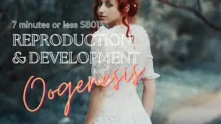 REPRODUCTION AND DEV Oogenesis SB015