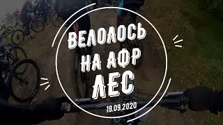 ВелоЛось на АФР ЛЕС