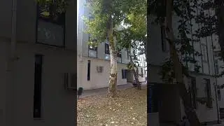 #сербия Кула. Обследование. Поликлиника. #жизньзаграницей