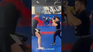 Henry Cejudo training Jiri Prochazka 