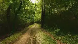 No Copyright Free , Nature Videos Copyright Free Download, Copyright Free Background, 4k Free Stock
