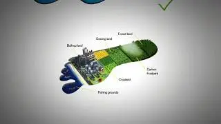 Ecological Footprint and Carbon Footprint Explained
