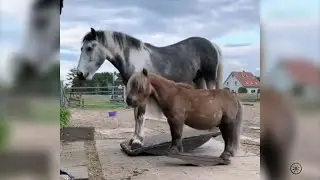 Приколы 14