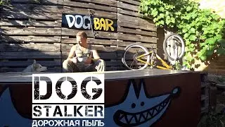 DOG-STALKER_6 ☆ Дорожная пыль ☆ Merida Hardy 5