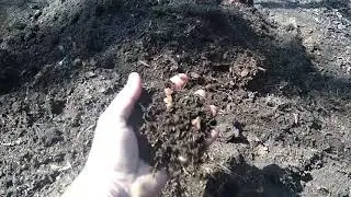 Где взять землю для рассады,для клумбы