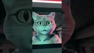 puss + end portal = ???