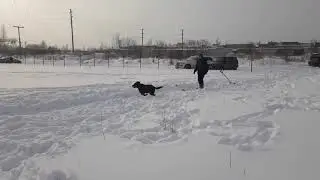 Хельхаус Застава