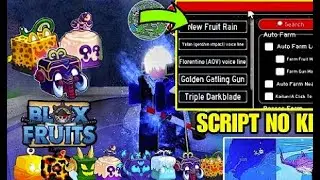 BEST ＊BLOX FRUITS＊SCRIPT HOHO HUB V3! AUTOFARM, DEVIL FRUITS, RAIDS, BOUNTY, MIRAGE AND MORE!