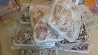 I bought some meat for my dogs. Proper dog food.