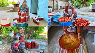 From Farm to Table ‼️ Making Bottled Tomato Sauce ‼️ The Most Natural Winter Sauce