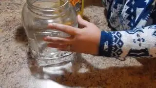 Cómo almacenar arroz  en tu alacena