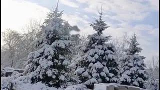SNOW THE MOST AMAZING MORNING IN THE SPRING