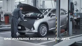 Масляный сервис Lexus в дилерских центрах Лексус 