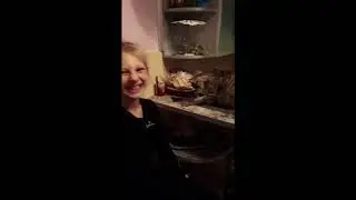 Котенок крутит спиннер