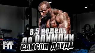 8,5 недель до Олимпии Самсона Дауды