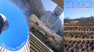 SAPPORO🔹Hill of the Buddha▪️Cementerio Makomanai▪️TADAO ANDO 🎌  🔴【JAPÓN 2021】JAPAN🔸頭大仏殿🔹真駒内滝野霊園